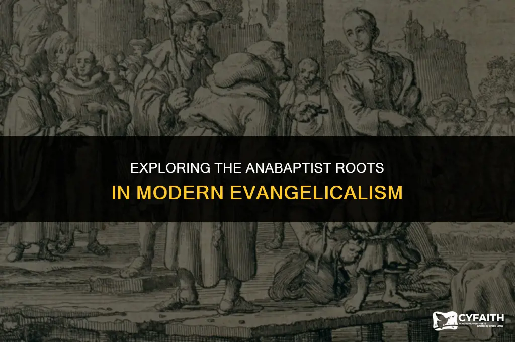 why most evangelicals are anabaptist