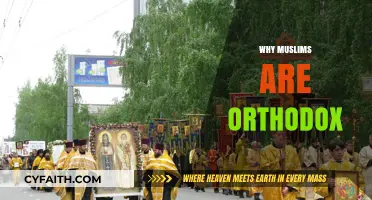 Understanding the Orthodox Nature of Muslim Faith and Practices