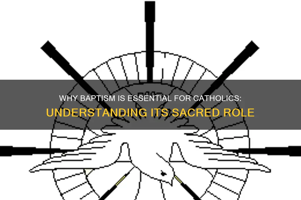 why must a catholic be baptized