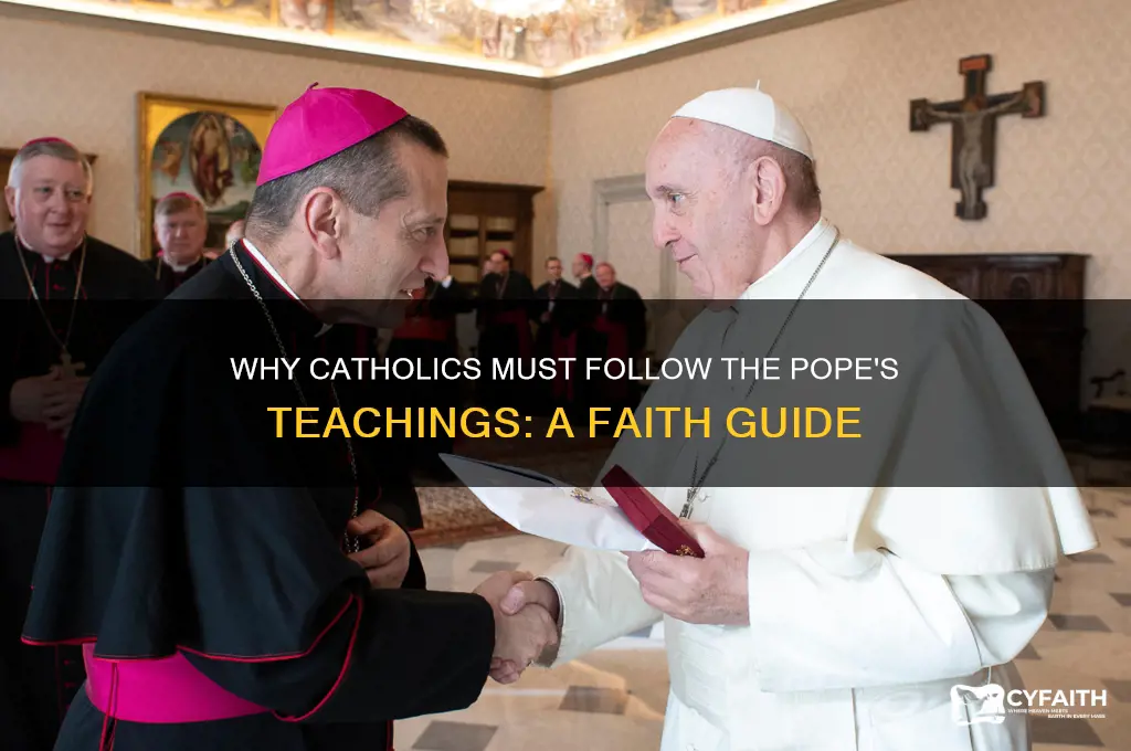 why must catholics following the teachings of the pope