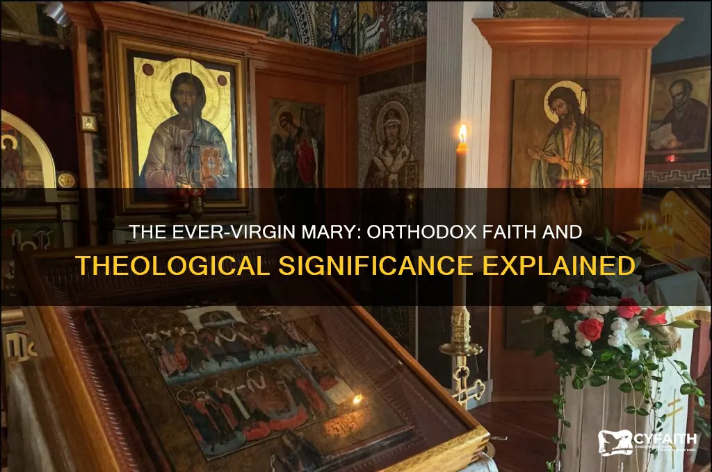 why must mary be ever virgin orthodox