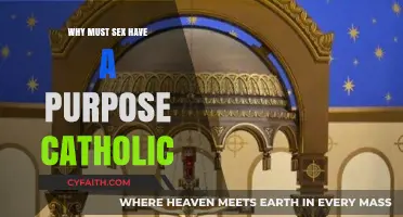 Why Must Sex Have a Purpose in Catholic Teachings?