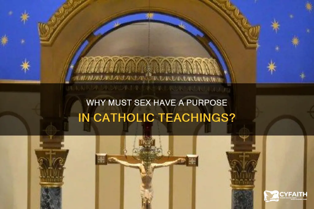 why must sex have a purpose catholic