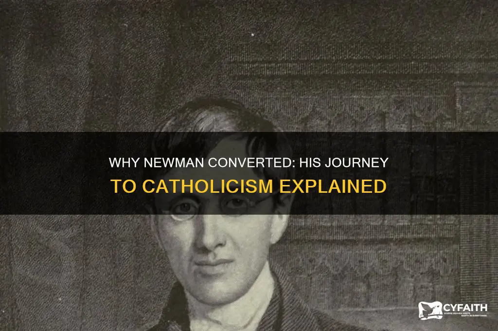 why newman became catholic