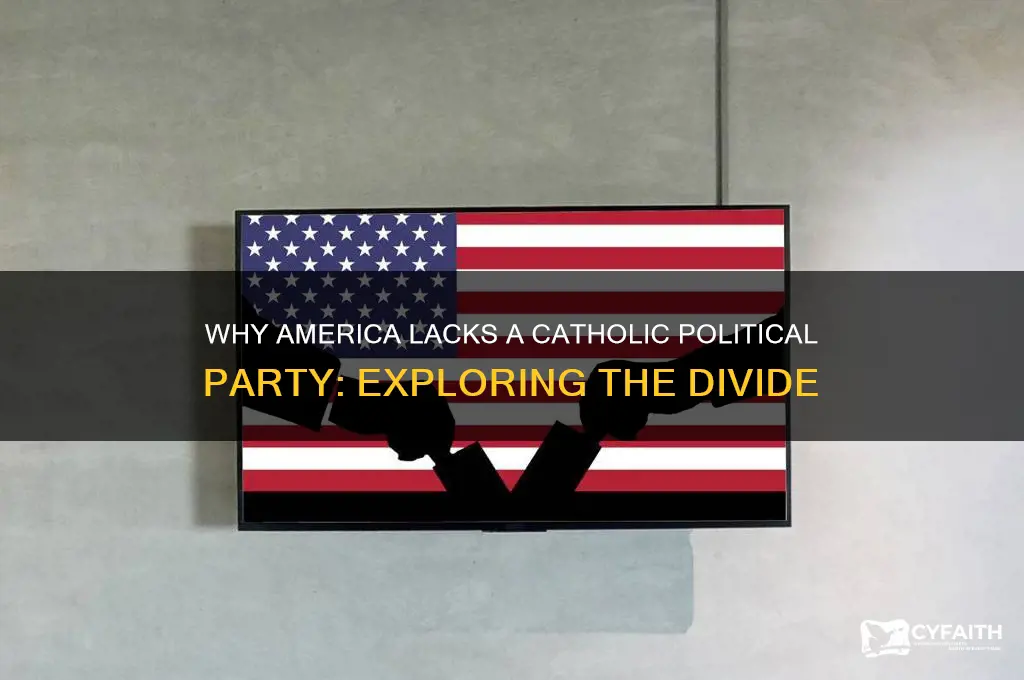 why no catholic political party in america