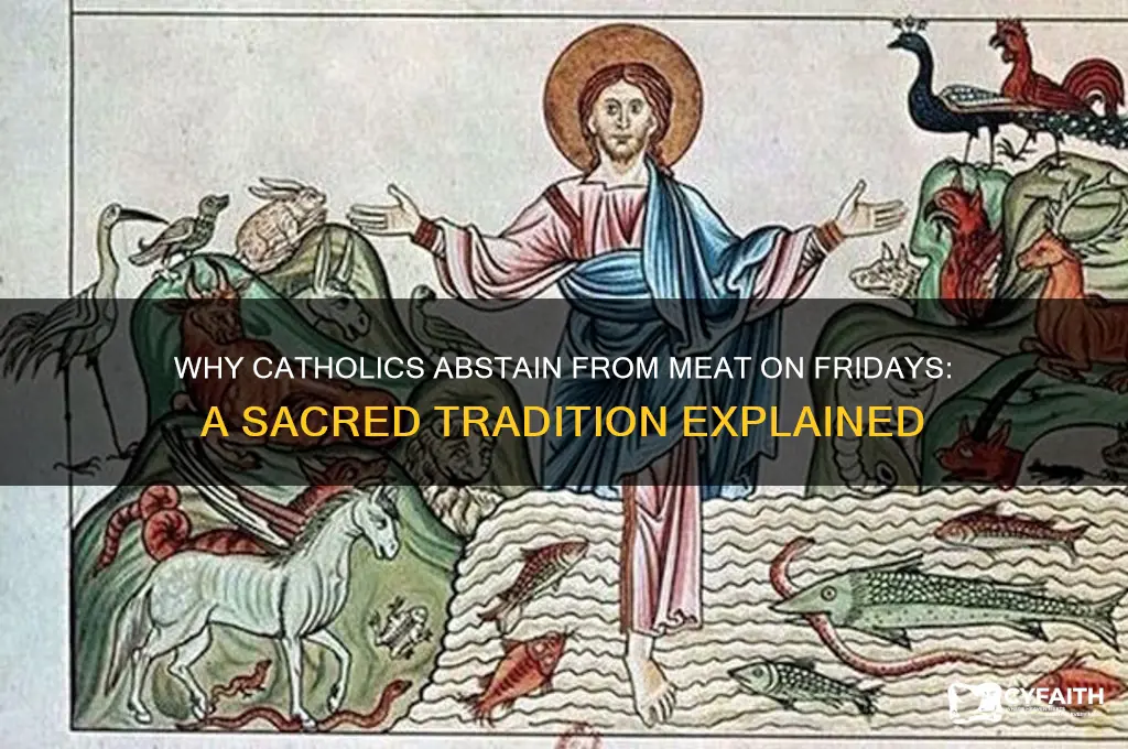 why no meat friday catholic