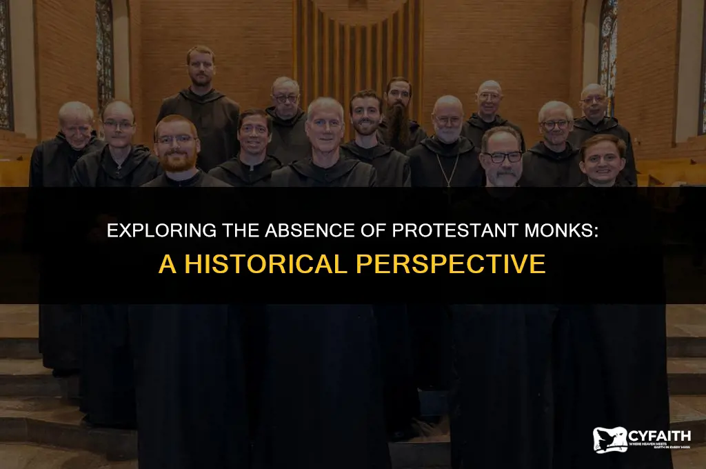why no protestant monks