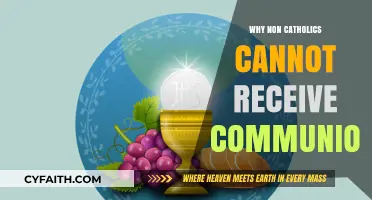 Understanding the Catholic Communion: Why Non-Catholics Are Excluded