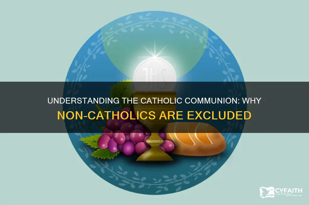 why non catholics cannot receive communion