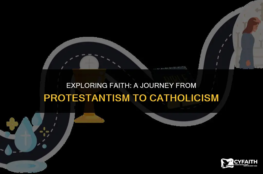 why not move from protestant to catholic
