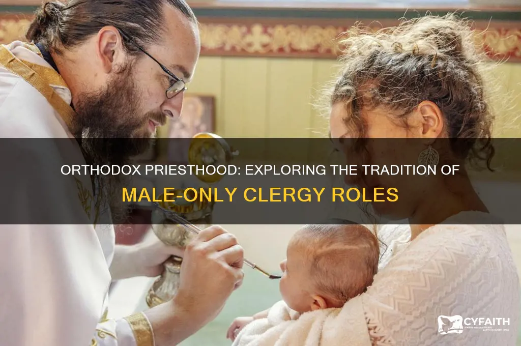 why only men in orthodox priesthood