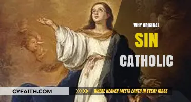 Understanding the Catholic Doctrine of Original Sin: Origins and Significance