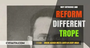 Orthodox vs. Reform Judaism: Exploring the Divergent Trope Traditions