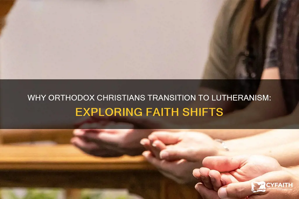 why orthodox become lutherans