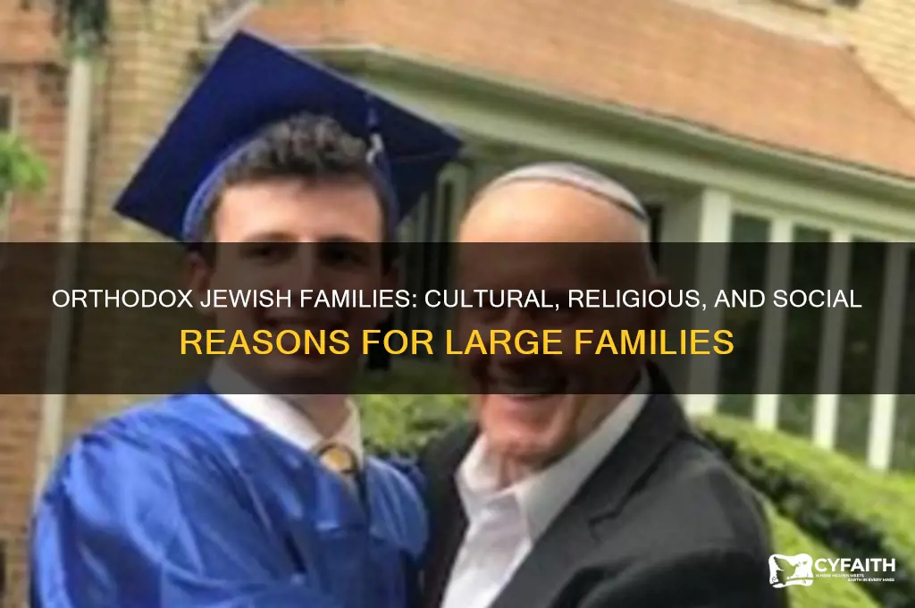 why orthodox jews have large families