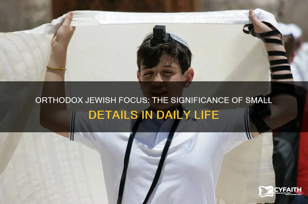 why orthodox jews so obsessed with little shit