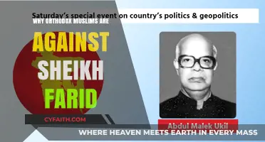 Sheikh Farid's Teachings: Why Orthodox Muslims Strongly Oppose His Views