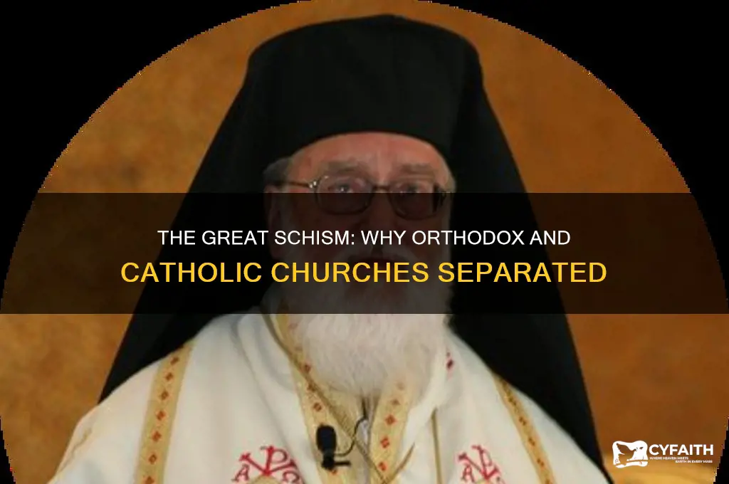 why orthodox separate from catholic