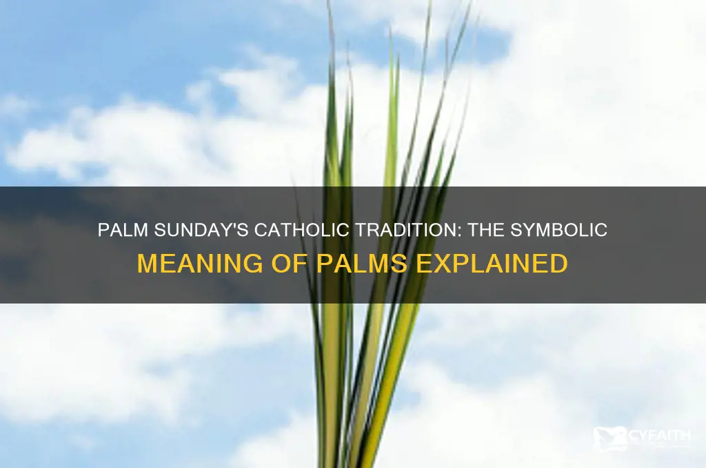 why palms on palm sunday catholic