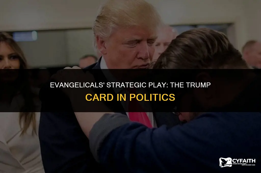 why paula wright evangelicals are playing the trump card