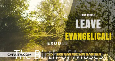 Exploring the Reasons Behind the Exodus from Evangelicalism