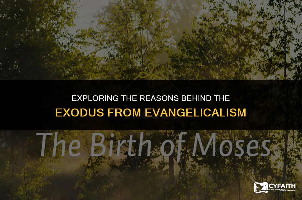 why people leave evangelicalism