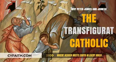 Peter, James, and John at the Transfiguration: Catholic Insights