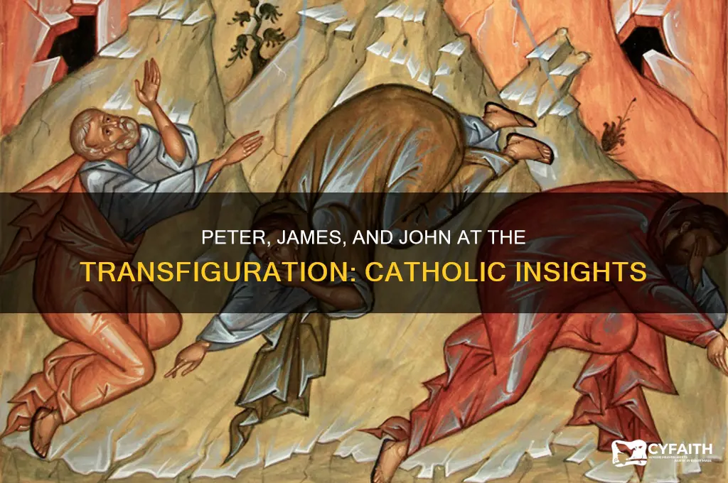why peter james and john at the transfiguration catholic