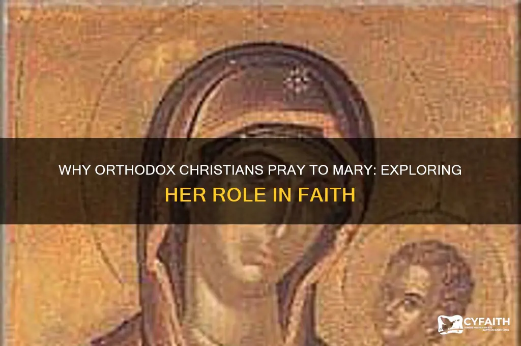 why pray to mary orthodox