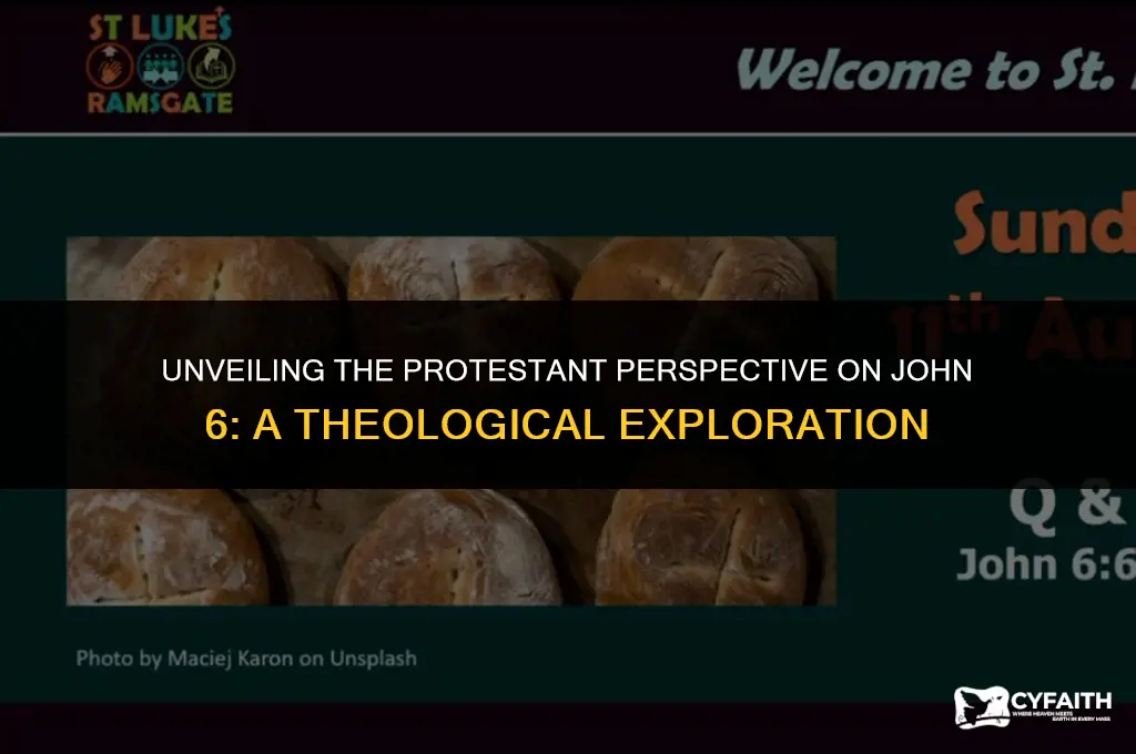why protestant view of john 6