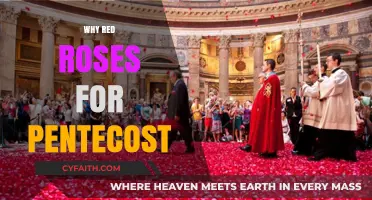 Symbolism of Red Roses in Pentecost Celebrations: A Deep Dive