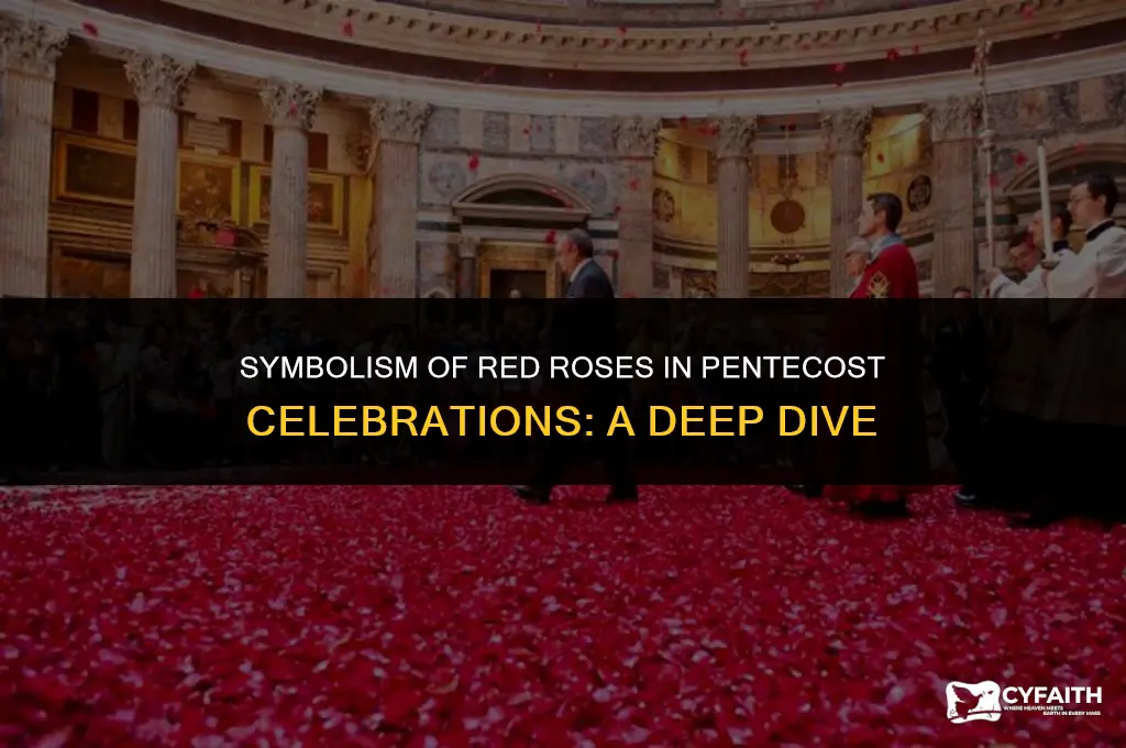 why red roses for pentecost