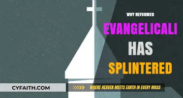 Divergent Paths: The Fracturing of Reformed Evangelicalism Explored