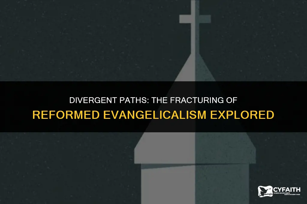 why reformed evangelicalism has splintered