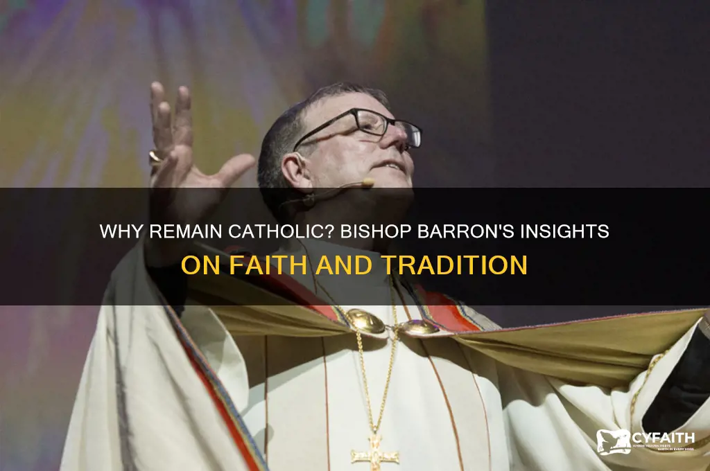 why remain catholic bishop barron