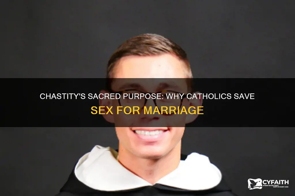 why save sex for marriage catholic