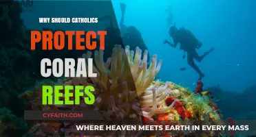 Catholics' Sacred Duty: Protecting Coral Reefs for Creation's Future
