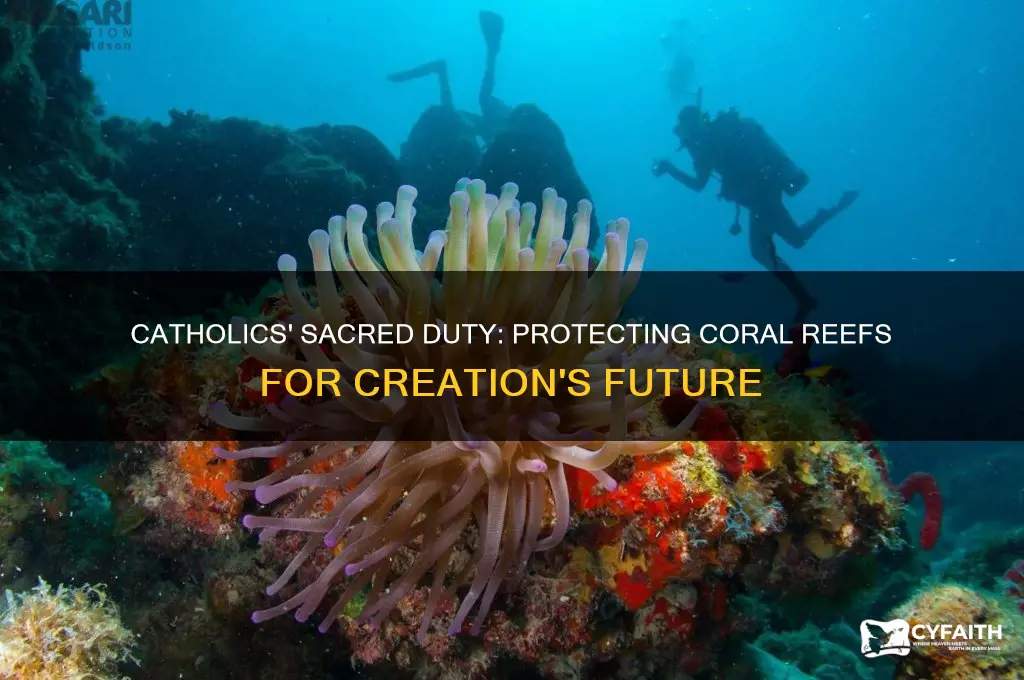 why should catholics protect coral reefs