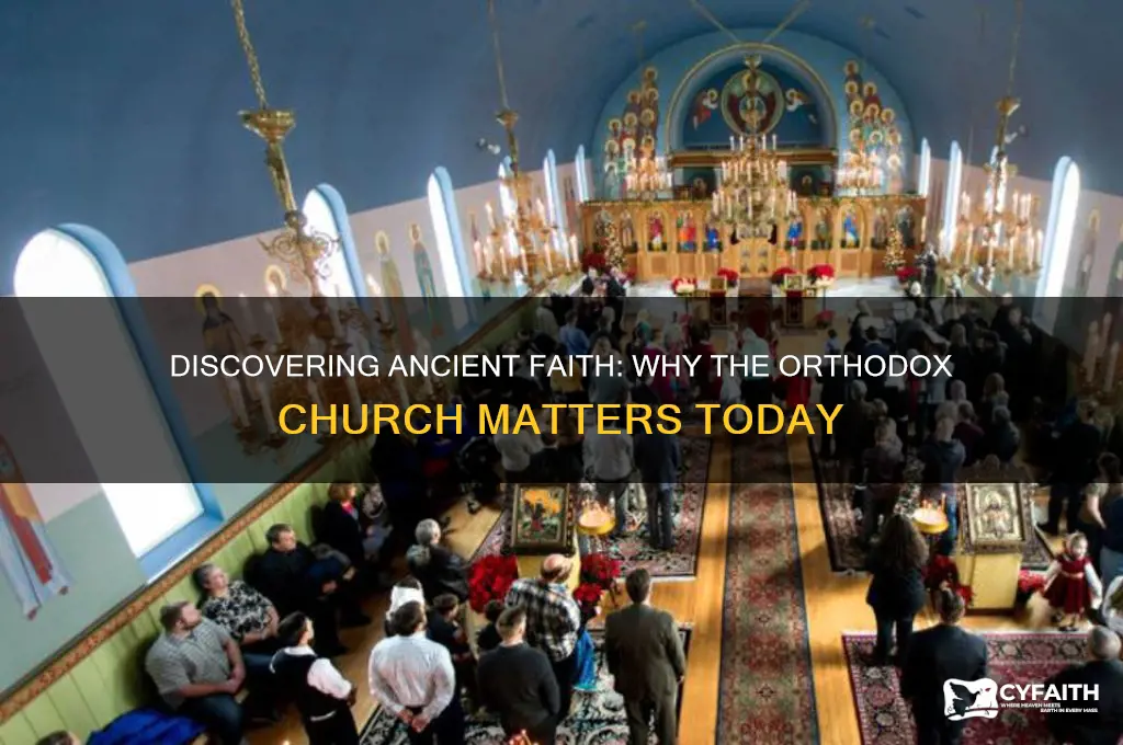 why should i consider the orthodox church