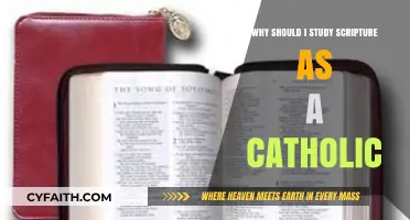 Why Catholics Should Study Scripture: Deepening Faith and Spiritual Growth