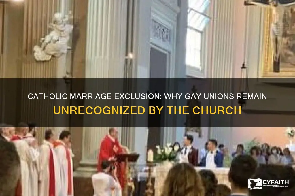 why shouldnt gay people marry catholic