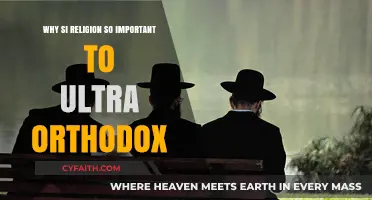 Why Religion Defines Ultra-Orthodox Identity and Daily Life