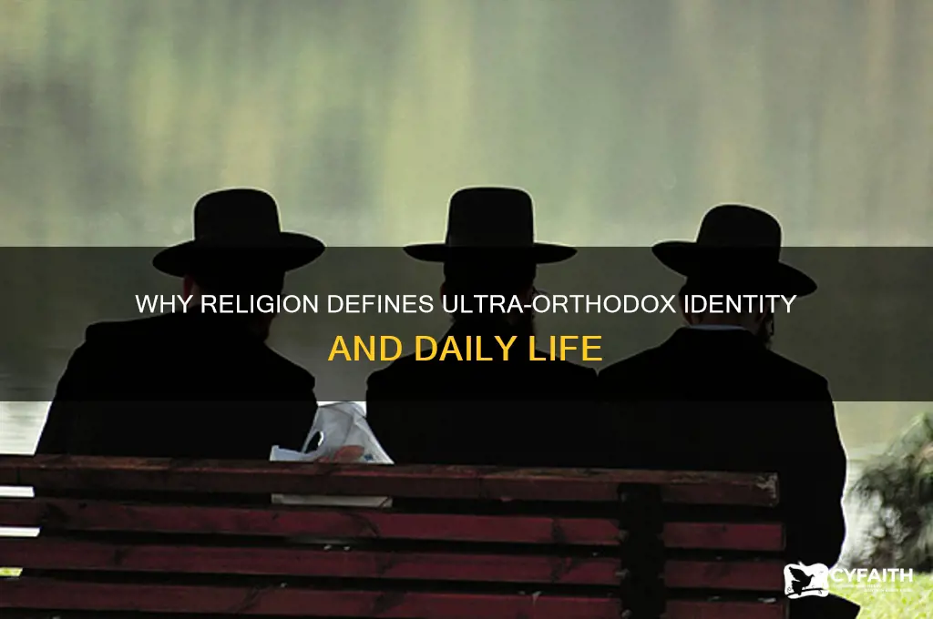 why si religion so important to ultra orthodox
