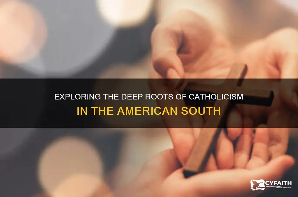 why so many catholics in the south of the usa