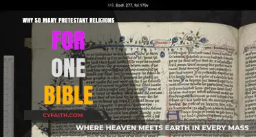 Exploring the Diversity: Why One Bible Spawned Many Protestant Religions