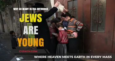 Youthful Ultra-Orthodox Jewish Communities: Exploring High Birth Rates and Faith