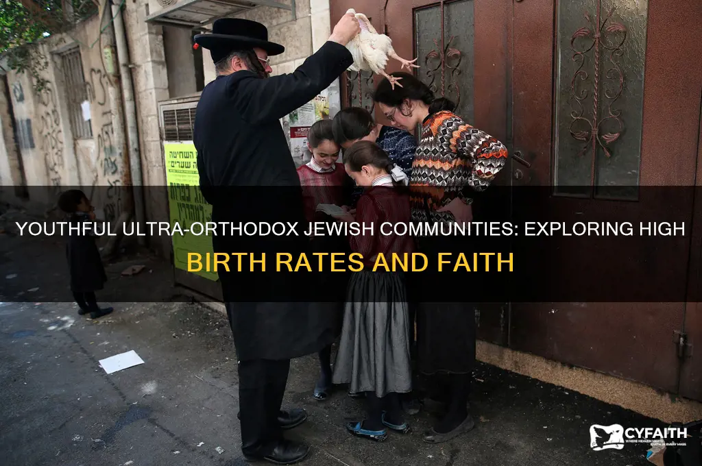 why so many ultra orthodox jews are young