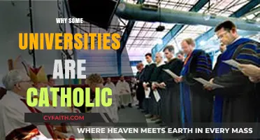 Exploring the Catholic Identity: Why Some Universities Embrace Faith