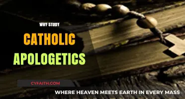 Defending the Faith: Why Study Catholic Apologetics Matters Today
