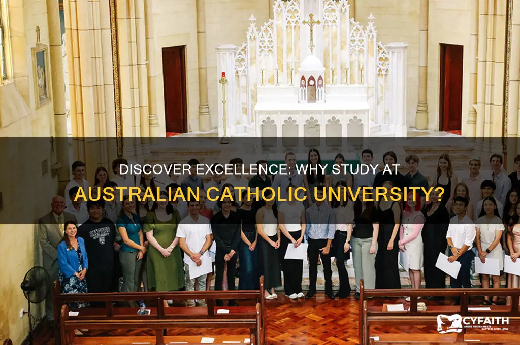 why study in australian catholic university